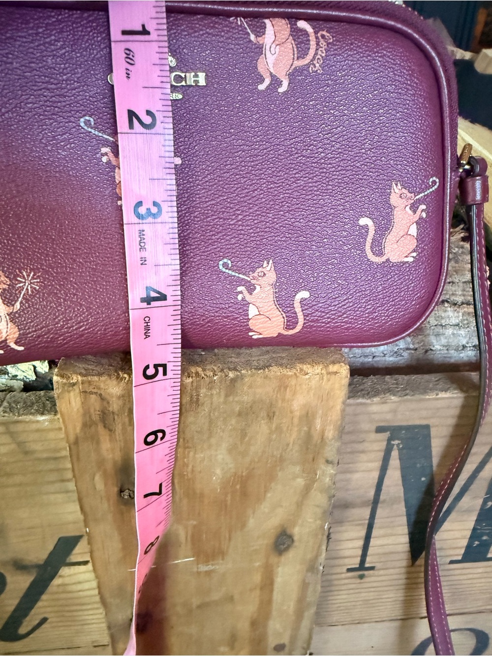 Coach Party Cat Crossbody Pouch - Picture 7 of 10